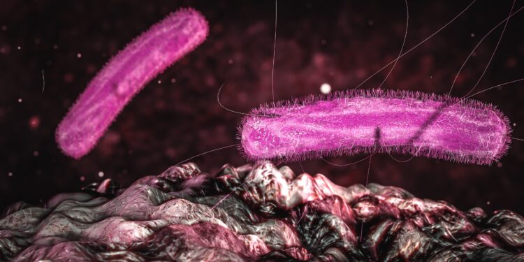 Grafische Darstellung des Bakteriums Klebsiella pneumoniae.