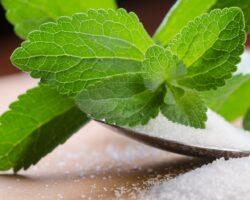 Eine Stevia-Pflanze liegt auf einem Löffel.