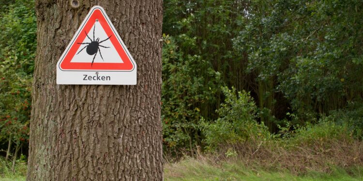 Warnschild Zecken an einem Baum am Waldrand