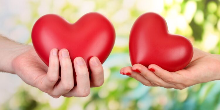Eine Frau und ein Mann halten jeweils ein Herz in der Hand.