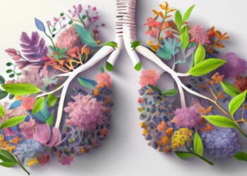 Zeichnerisch dargestellte Lunge aus Heilpflanzen.