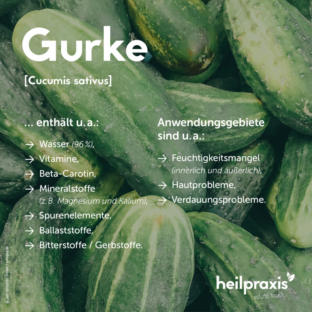 Gurke Inhaltsstoffe, Wirkung und Anwendung Heilpraxis
