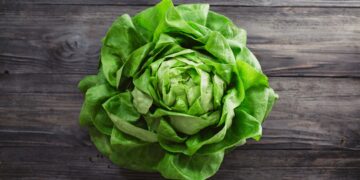 Viele Menschen unterschätzen, wie gesund der Verzehr von Kopfsalat wirklich ist. (Bild: Melica/stock.adobe.com)