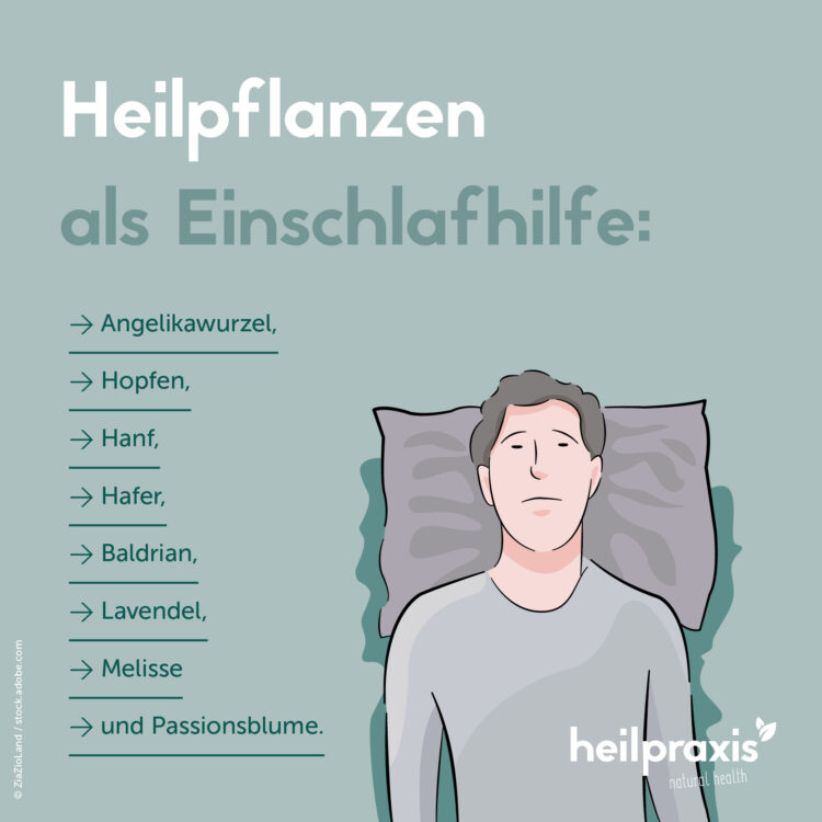 Zeichnung von einem Mann im Bett und eine Liste von Heilpflanzen als Einschlafhilfe.