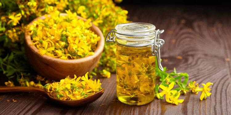 Johanniskrautblüten im Glas