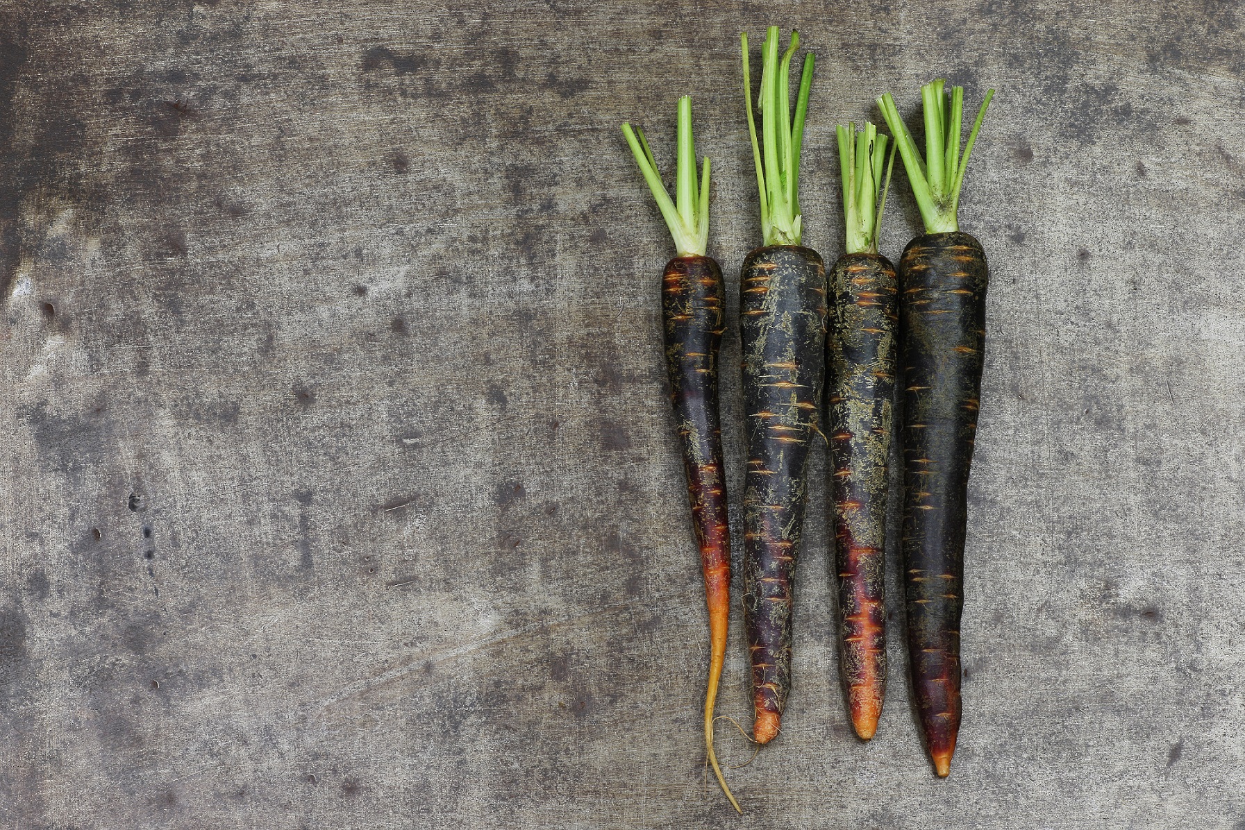 So gesund sind schwarze Karotten – Heilpraxis