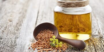 Senföl verhindert Herzkrankheiten, verhindert Entzündungen und schützt gleichzeitig effektiv vor Diabetes. (Bild: Dionisvera/stock.adobe.com)