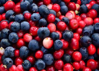 Gemischte Blaubeeren und Cranberries
