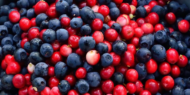 Gemischte Blaubeeren und Cranberries