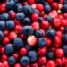 Gemischte Blaubeeren und Cranberries