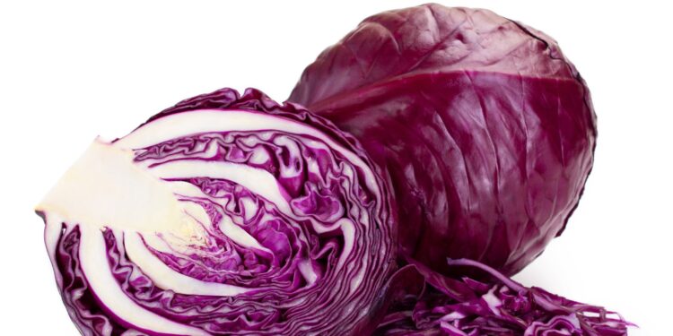 Ein ganzer und ein halbierter frischer Kopf Rotkohl vor weißem Hintergrund