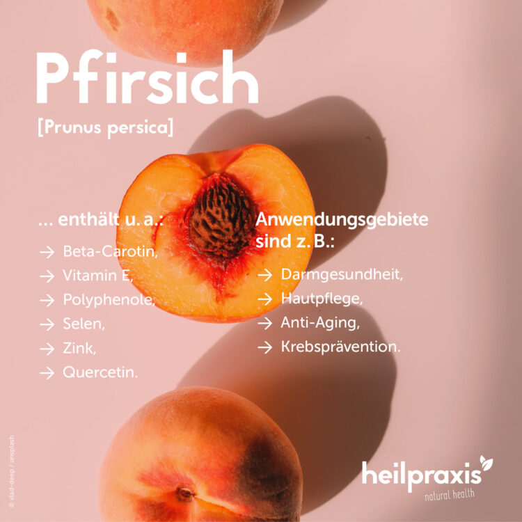 Übersicht der wichtigsten Inhaltsstoffe und Anwendungsgebiete von Pfirsich
