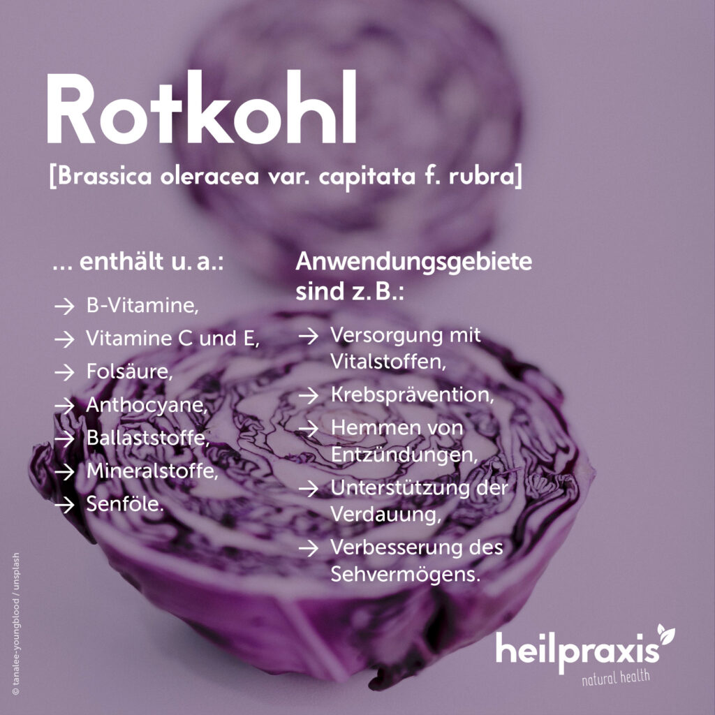 Rotkohl – Inhaltsstoffe, Wirkung und Anwendung – Heilpraxis