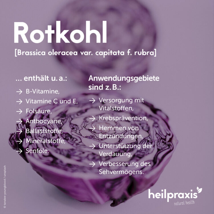 Übersicht wichtiger Inhaltsstoffe und Anwendungsgebiete von Rotkohl