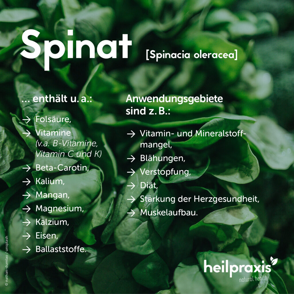 Spinat – Inhaltsstoffe, Wirkung und Anwendung – Heilpraxis
