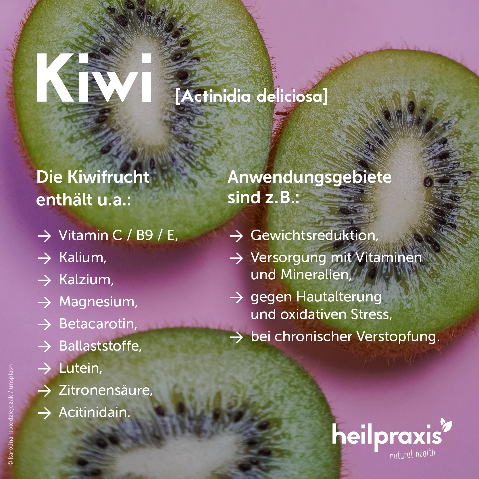 Übersichtsgrafik der Inhaltsstoffe und Anwendung von Kiwi