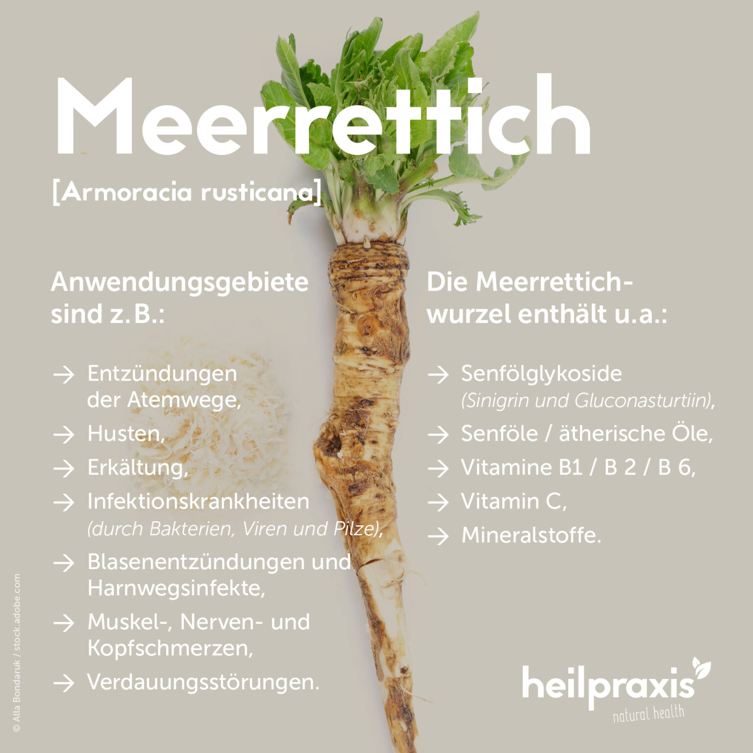 Meerrettich plus Kapseln main image 1