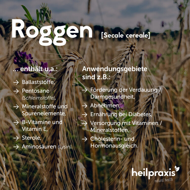 Roggen – Inhaltsstoffe, Wirkung und Anwendung – Heilpraxis