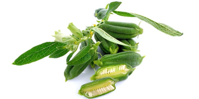 Sesam – Inhaltsstoffe, Wirkung und Anwendung – Heilpraxis