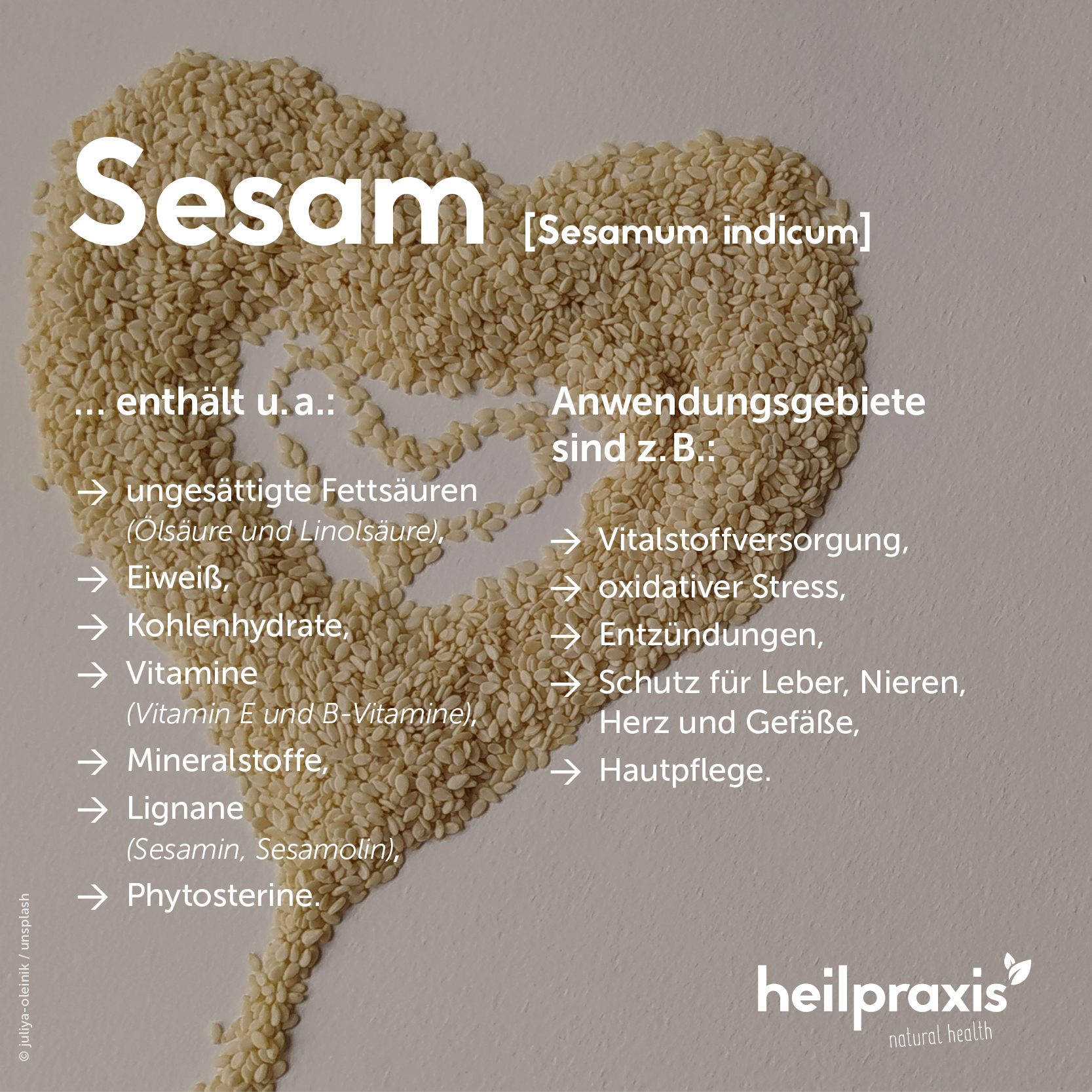 Übersichtsgrafik der Inhaltsstoffe und Anwendung von Sesam