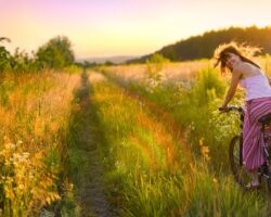 Frau fährt mit dem Rad durch sommerliches Feld
